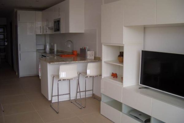 apartment with tv and dining area